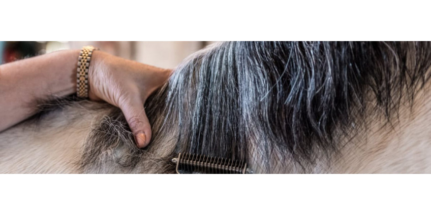 Как ухаживать за хвостом и гривой лошади, особенности инвентаря для ухода за шерстью и волосами
